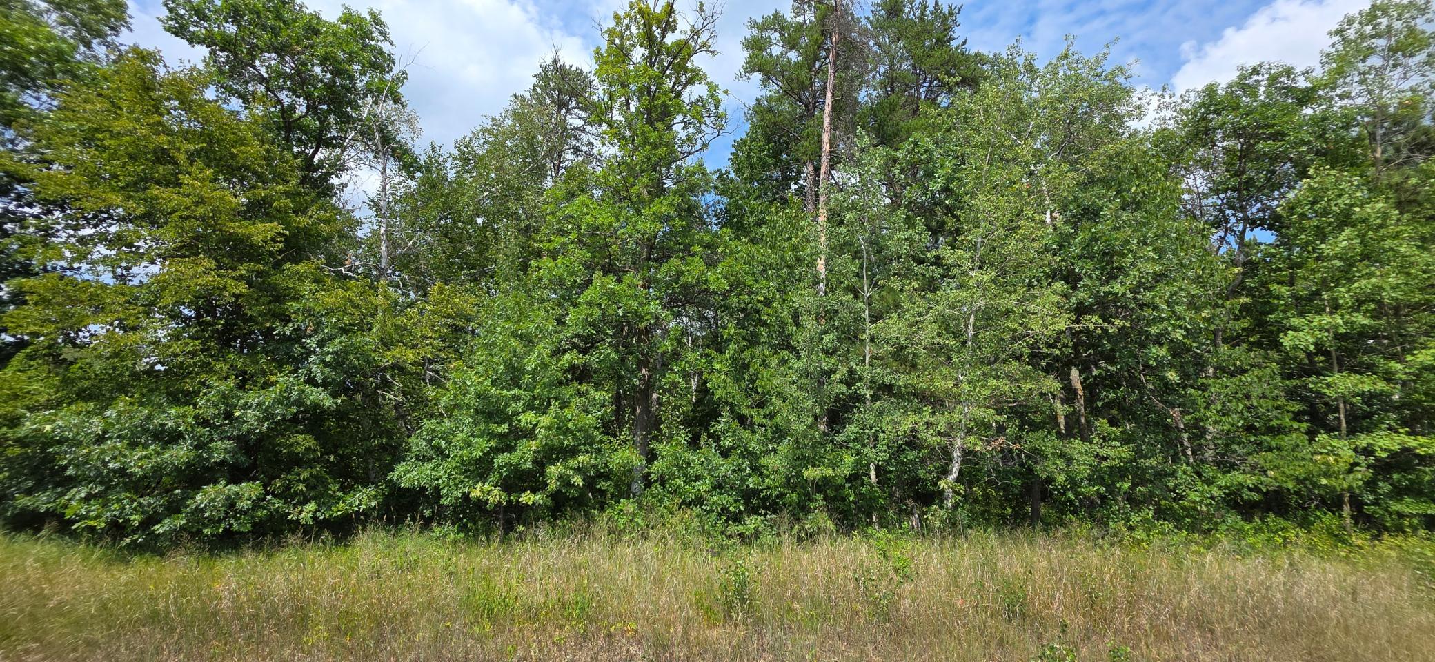 land for sale at TBD Peony Lane in Breezy Point, MN (photo 4 of 6)