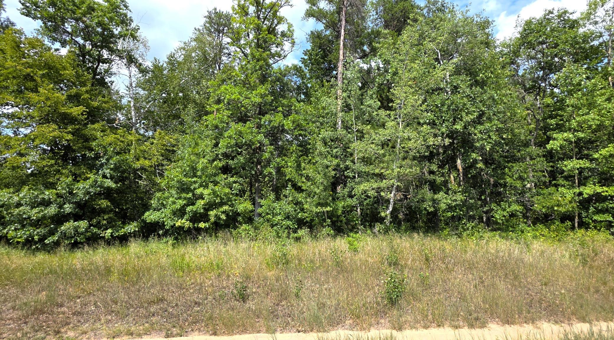 land for sale at TBD Peony Lane in Breezy Point, MN (photo 5 of 6)