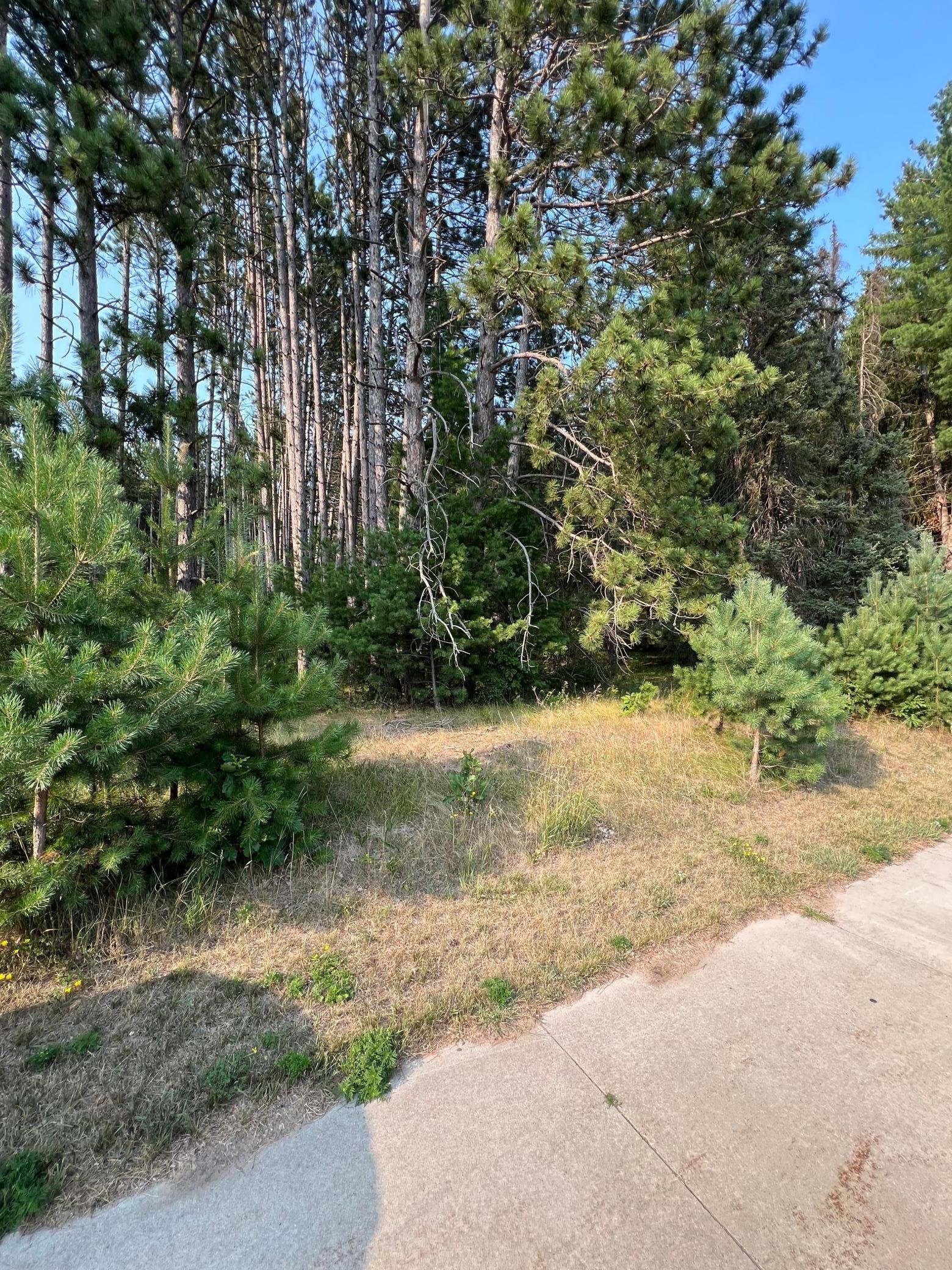 land for sale at TBD Ridgwood in Grand Rapids, MN (photo 3 of 4)