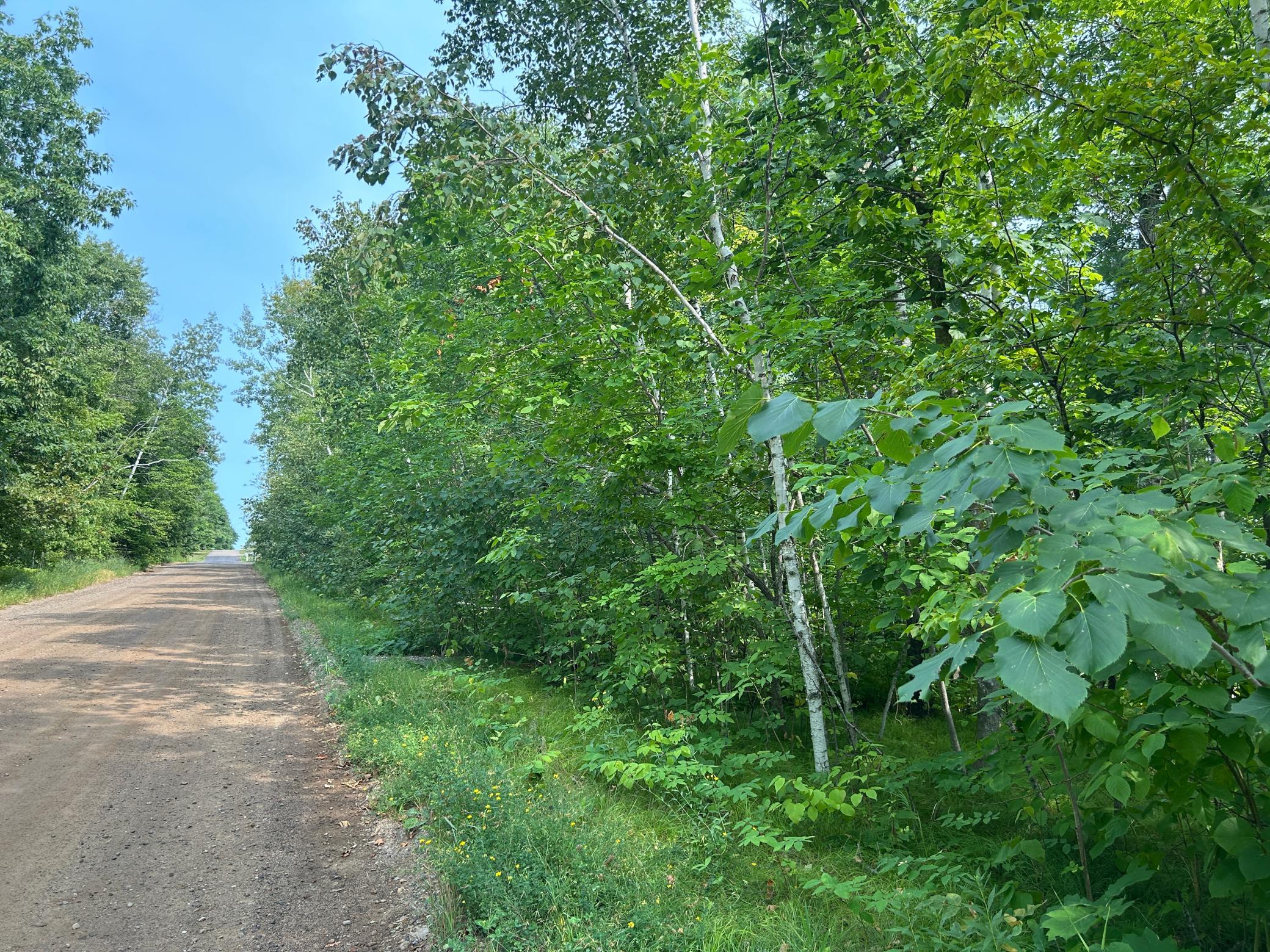 land for sale at TBD Central Street in Garrison, MN (photo 5 of 6)