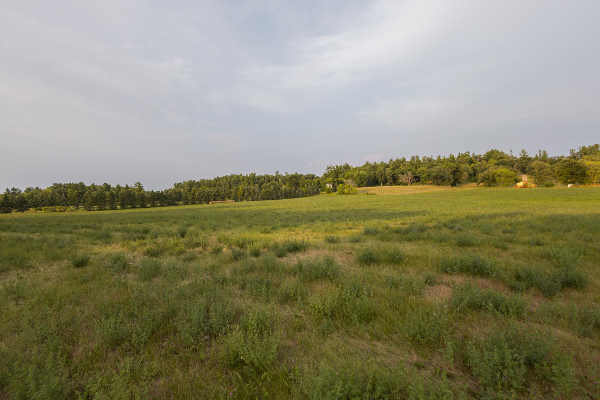 2008 single family home for sale at 17231 330th Avenue in Frazee, MN — 2 bed, 2 bath (photo 50 of 56)