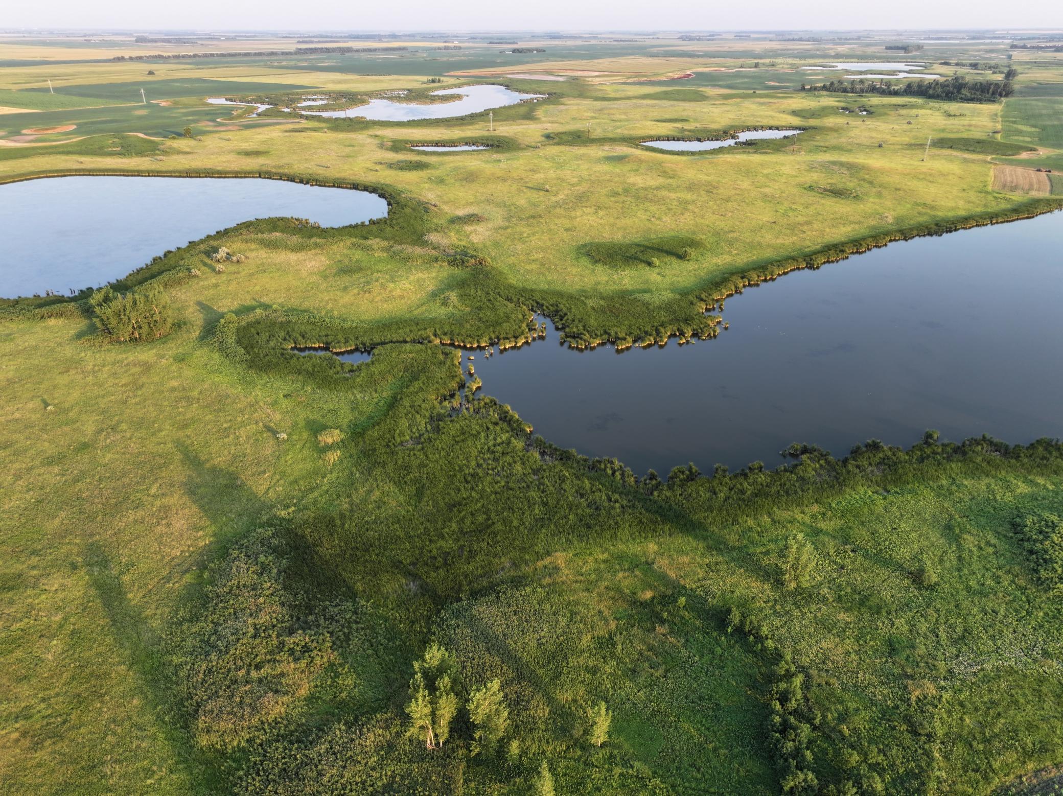 land for sale at TBD 47th St SE 123rd Ave SE and 124th Ave SE in Fingal, ND