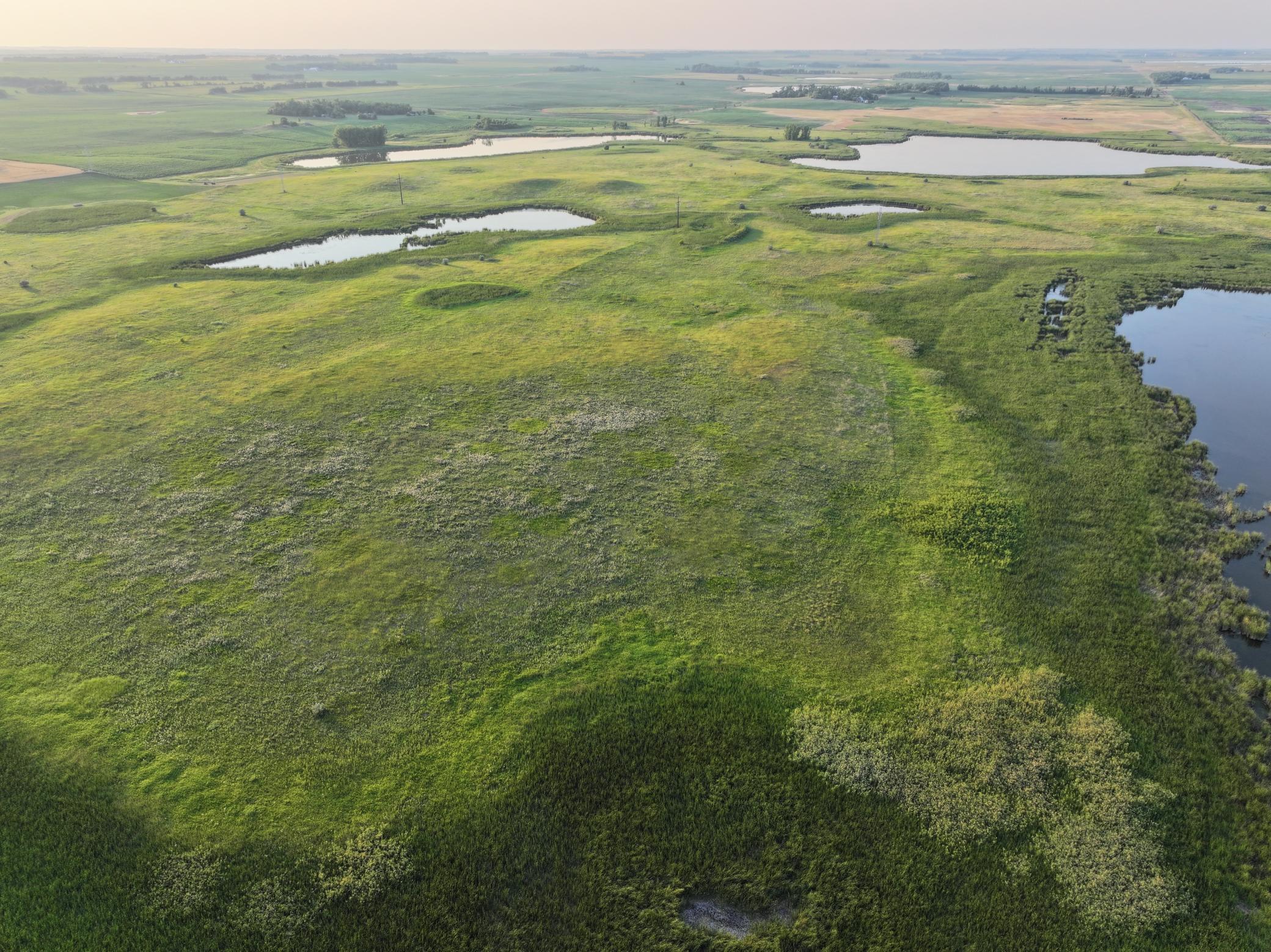land for sale at TBD 47th St SE 123rd Ave SE and 124th Ave SE in Fingal, ND (photo 2 of 49)