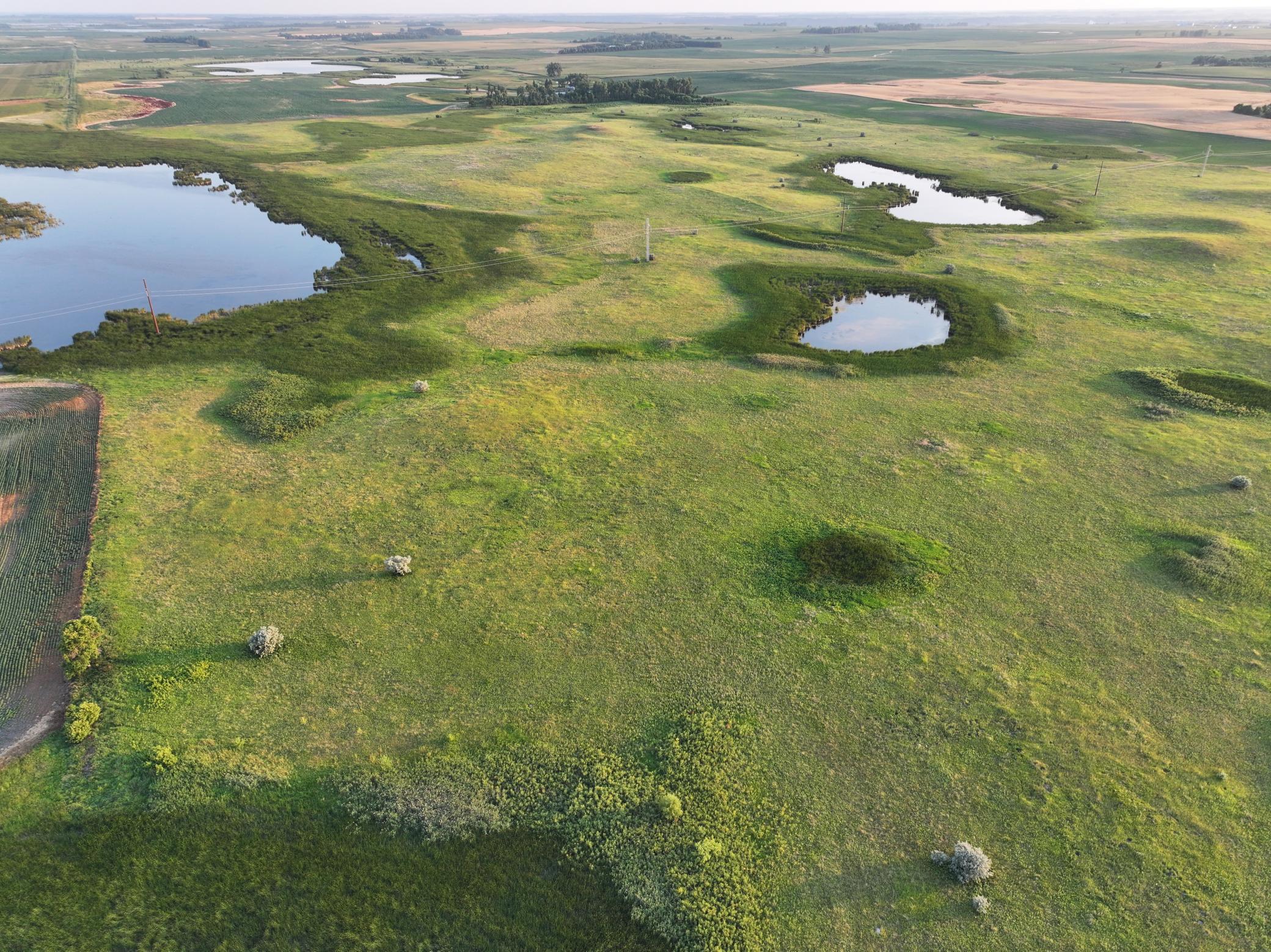 land for sale at TBD 47th St SE 123rd Ave SE and 124th Ave SE in Fingal, ND (photo 13 of 49)