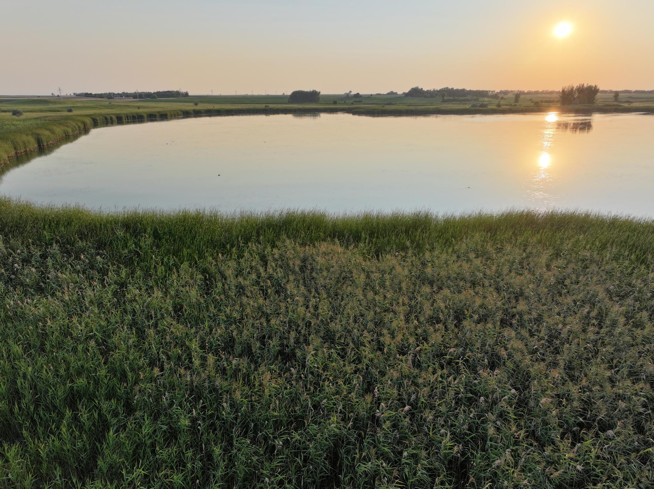 land for sale at TBD 47th St SE 123rd Ave SE and 124th Ave SE in Fingal, ND (photo 14 of 49)