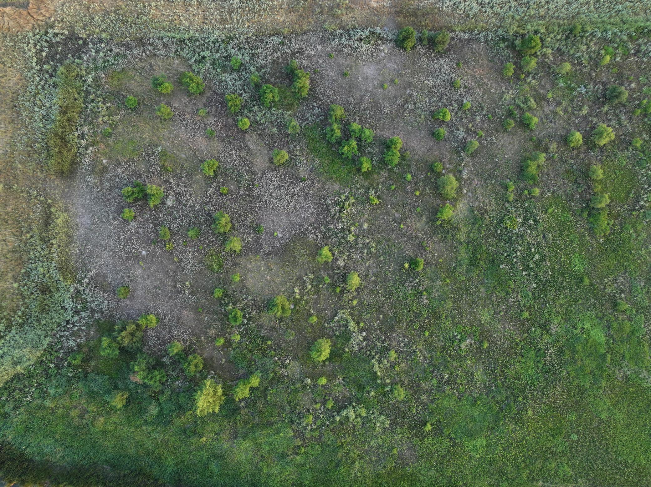 land for sale at TBD 47th St SE 123rd Ave SE and 124th Ave SE in Fingal, ND (photo 18 of 49)