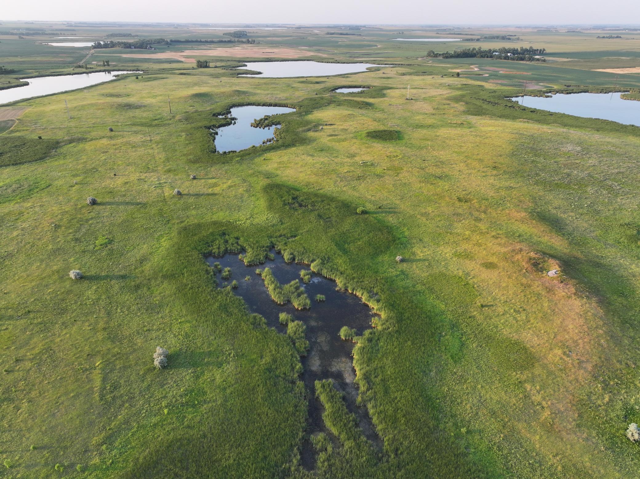 land for sale at TBD 47th St SE 123rd Ave SE and 124th Ave SE in Fingal, ND (photo 3 of 49)
