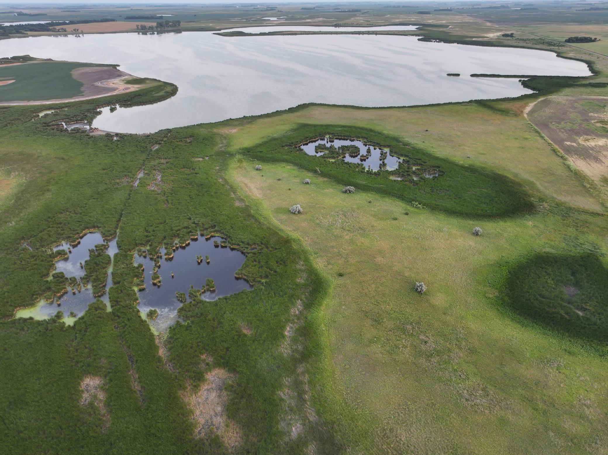 land for sale at TBD 47th St SE 123rd Ave SE and 124th Ave SE in Fingal, ND (photo 28 of 49)