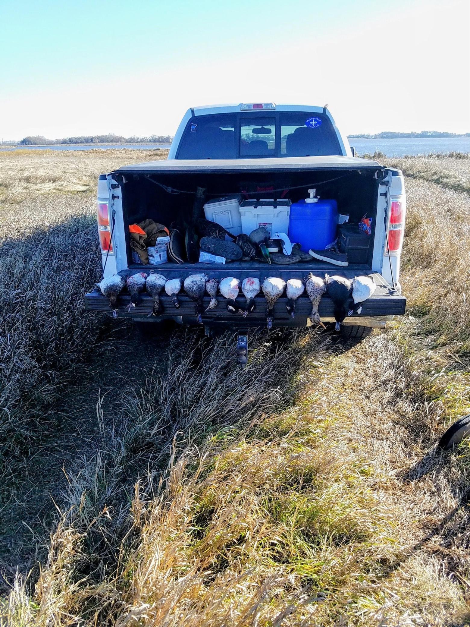 land for sale at TBD 47th St SE 123rd Ave SE and 124th Ave SE in Fingal, ND (photo 30 of 49)