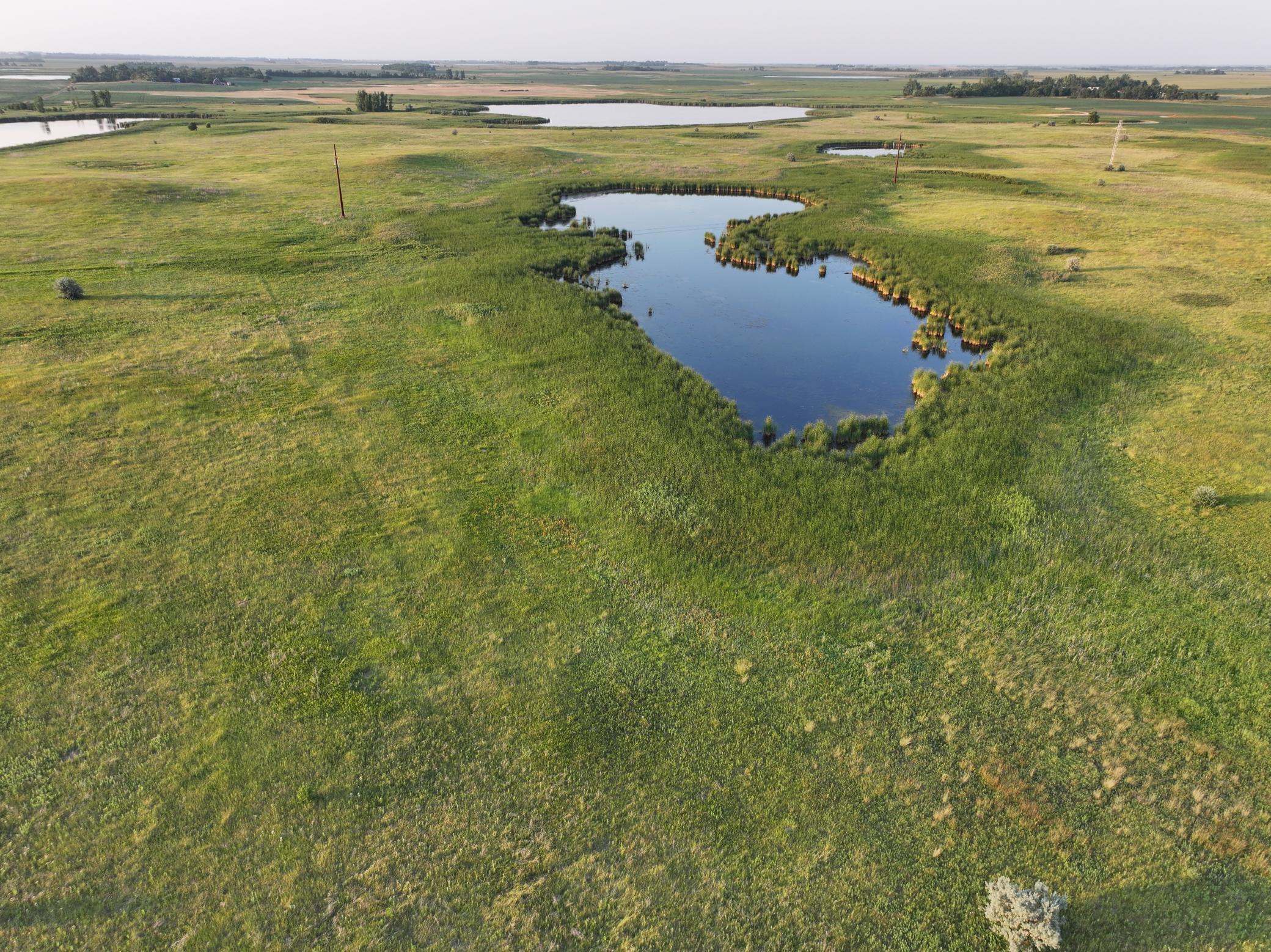 land for sale at TBD 47th St SE 123rd Ave SE and 124th Ave SE in Fingal, ND (photo 4 of 49)