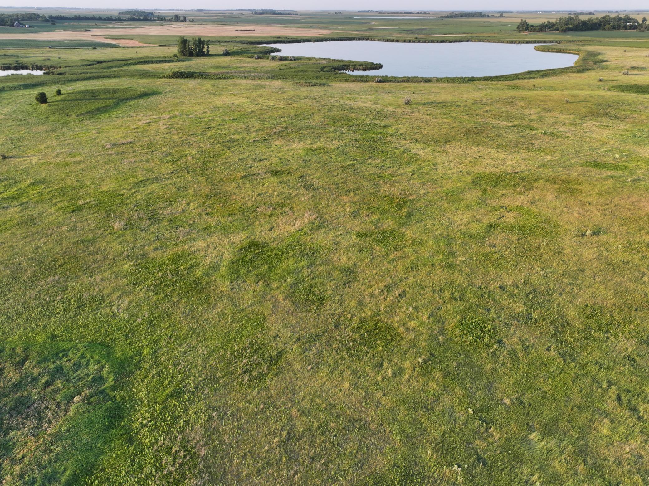 land for sale at TBD 47th St SE 123rd Ave SE and 124th Ave SE in Fingal, ND (photo 6 of 49)