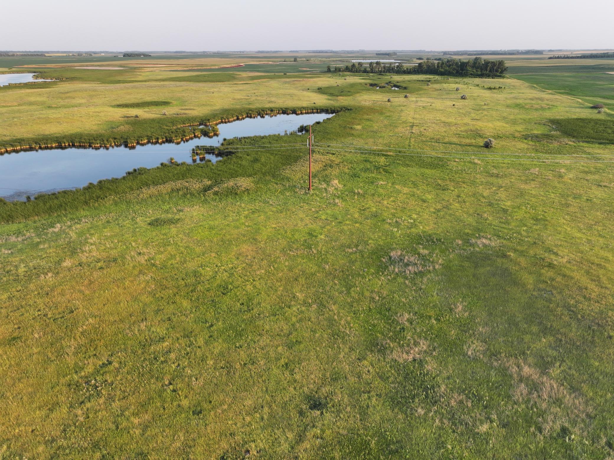 land for sale at TBD 47th St SE 123rd Ave SE and 124th Ave SE in Fingal, ND (photo 7 of 49)
