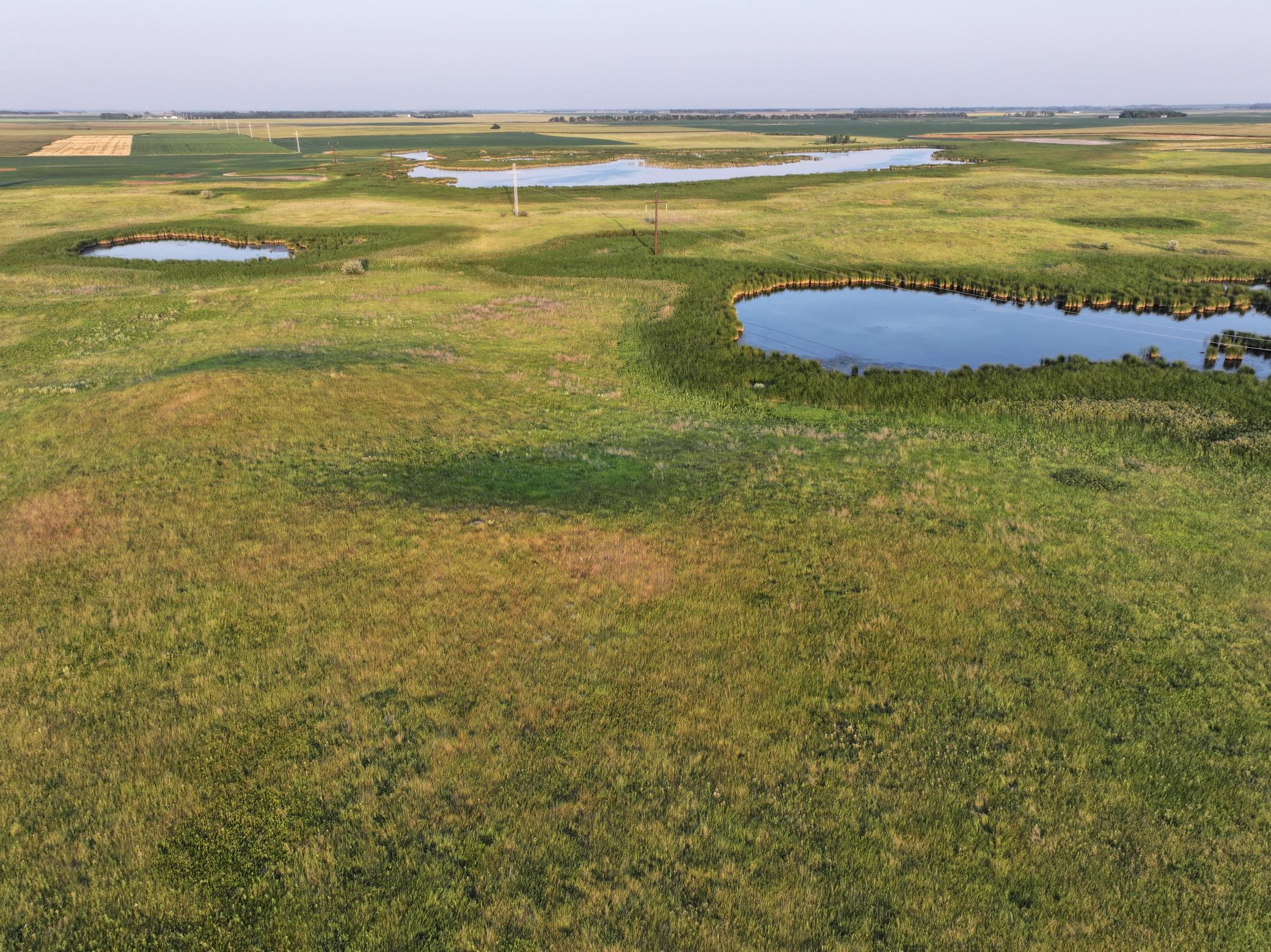 land for sale at TBD 47th St SE 123rd Ave SE and 124th Ave SE in Fingal, ND (photo 8 of 49)