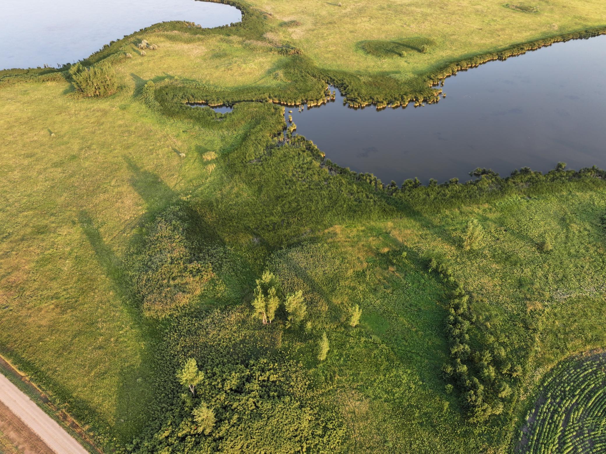 land for sale at TBD 47th St SE 123rd Ave SE and 124th Ave SE in Fingal, ND (photo 9 of 49)
