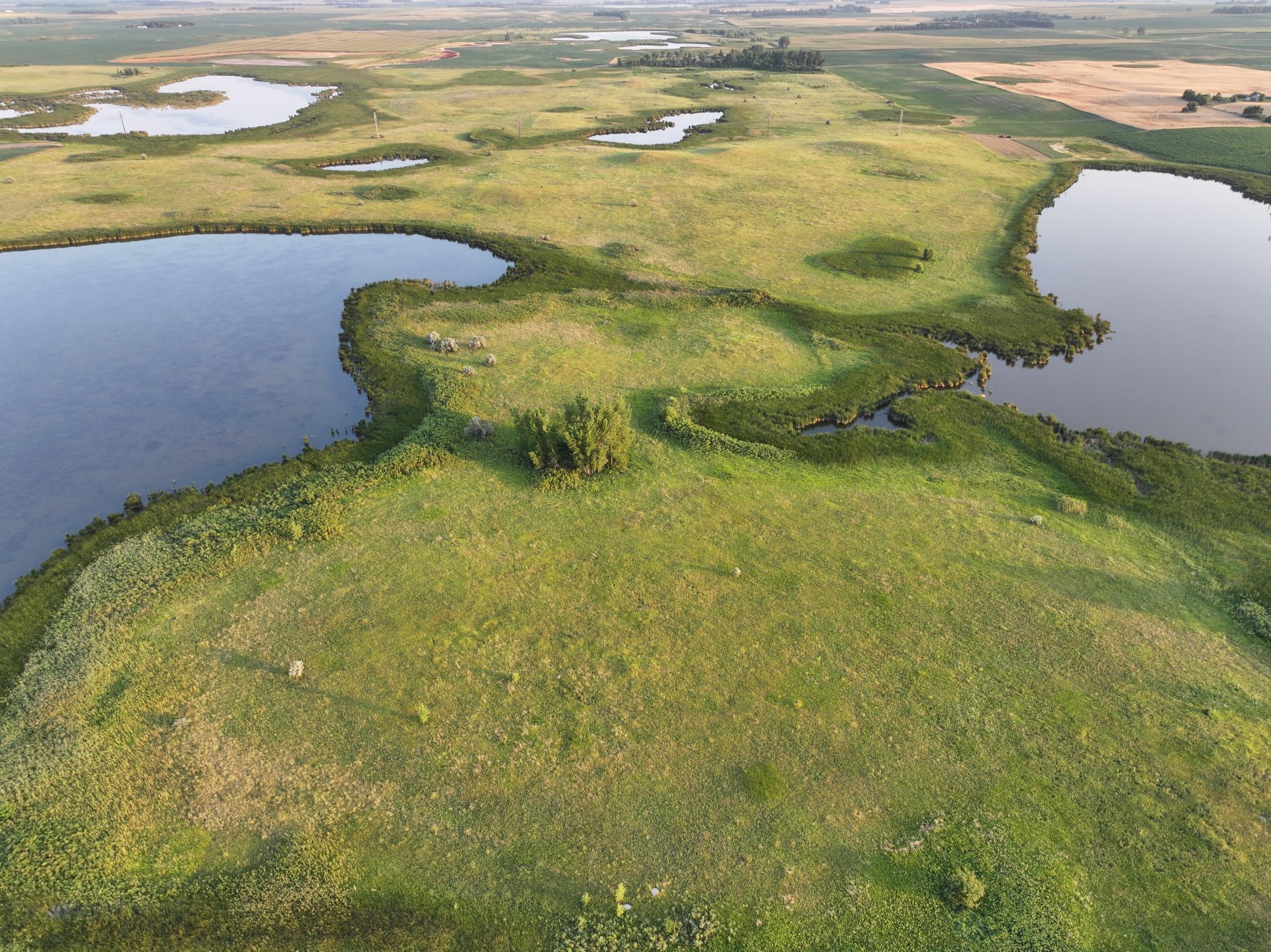 land for sale at TBD 47th St SE 123rd Ave SE and 124th Ave SE in Fingal, ND (photo 10 of 49)