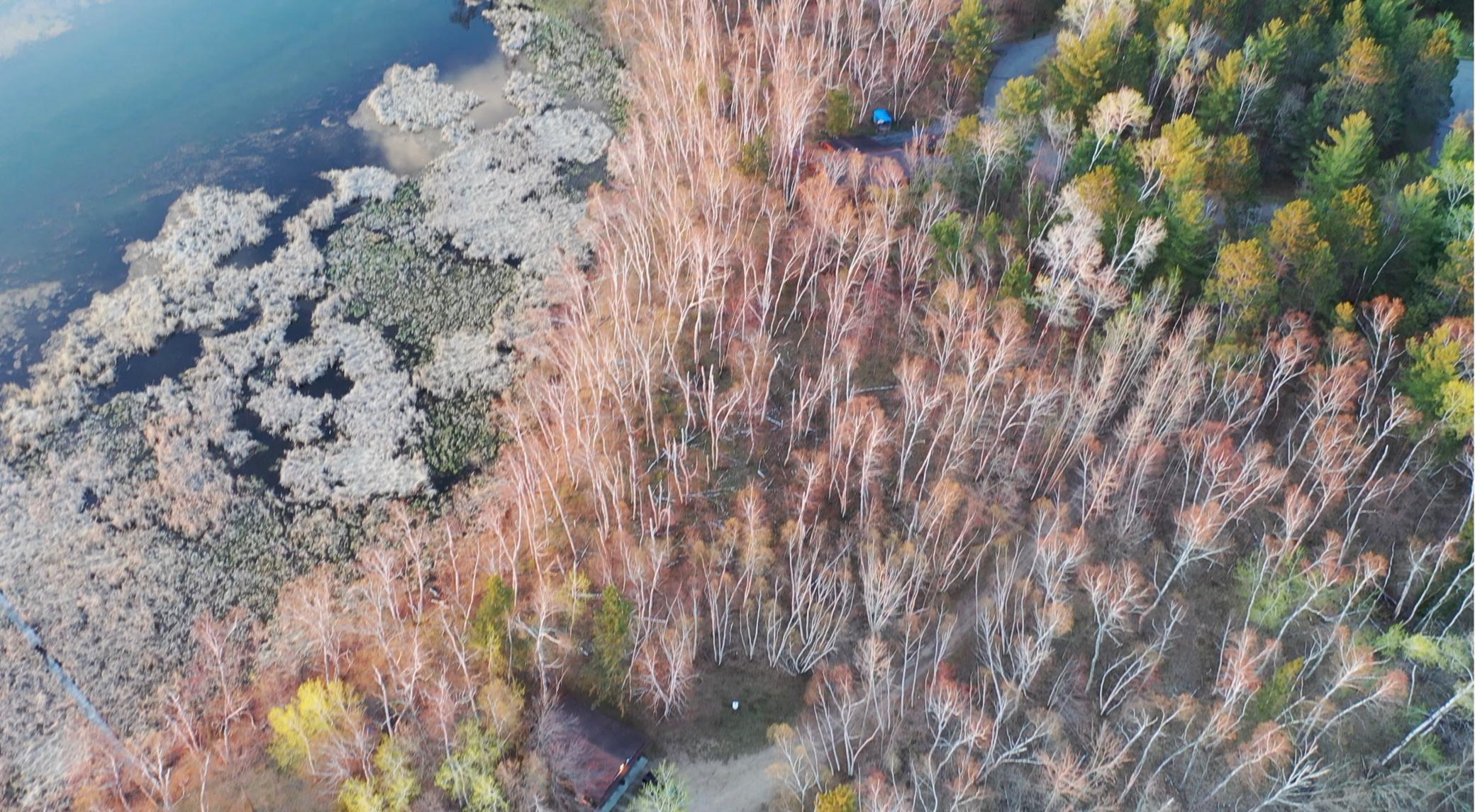 land for sale at TBD Connelly Circle NE in Bemidji, MN (photo 6 of 7)