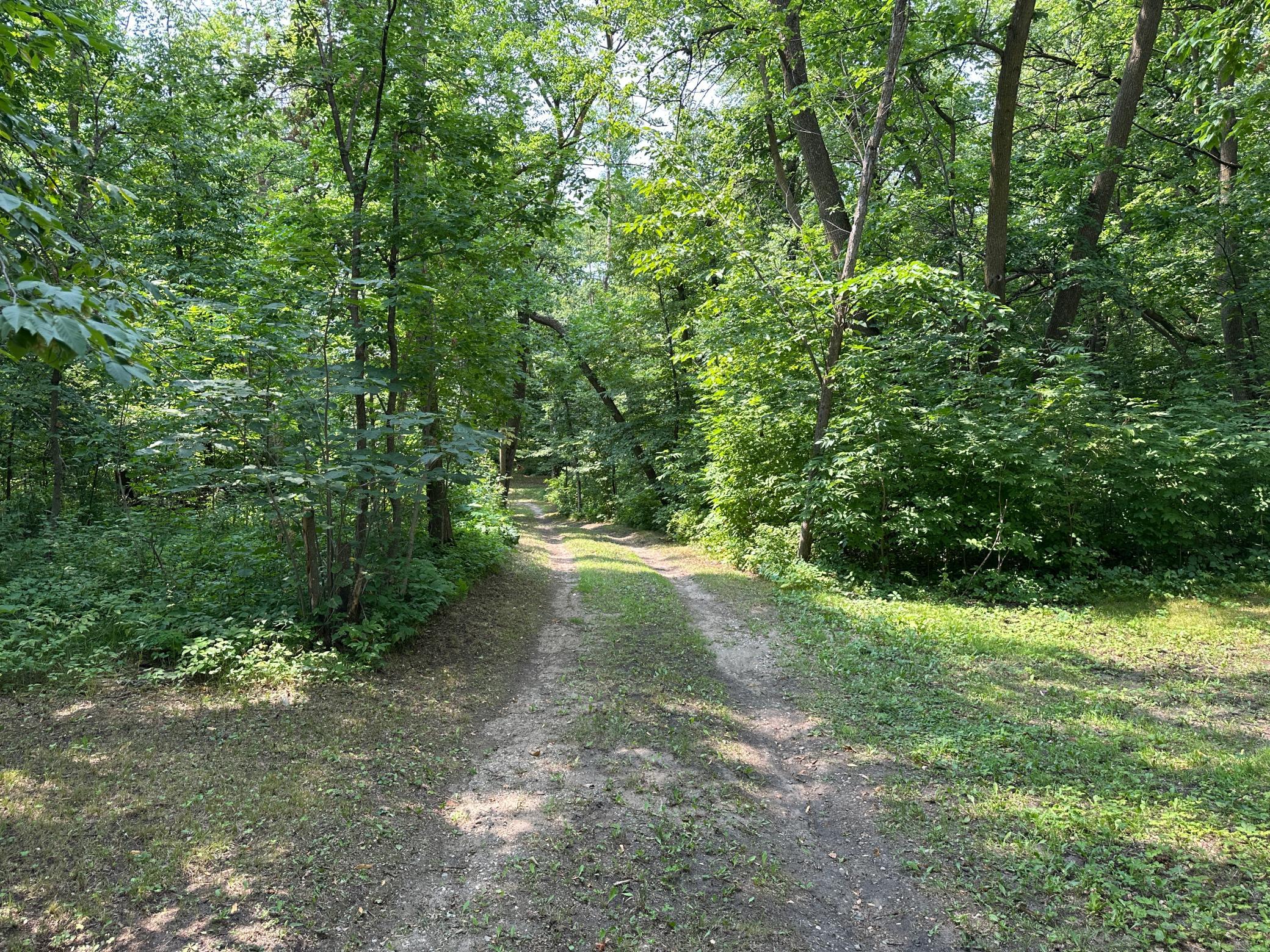 land for sale at TBD Frazee Road in Frazee, MN (photo 12 of 27)