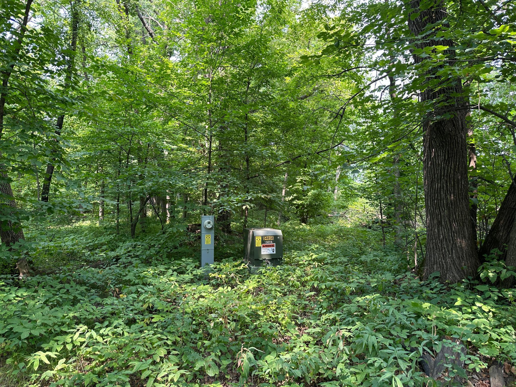 land for sale at TBD Frazee Road in Frazee, MN (photo 14 of 27)