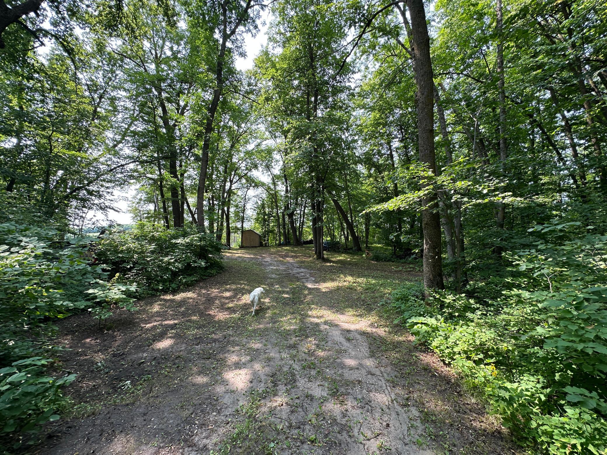 land for sale at TBD Frazee Road in Frazee, MN (photo 16 of 27)