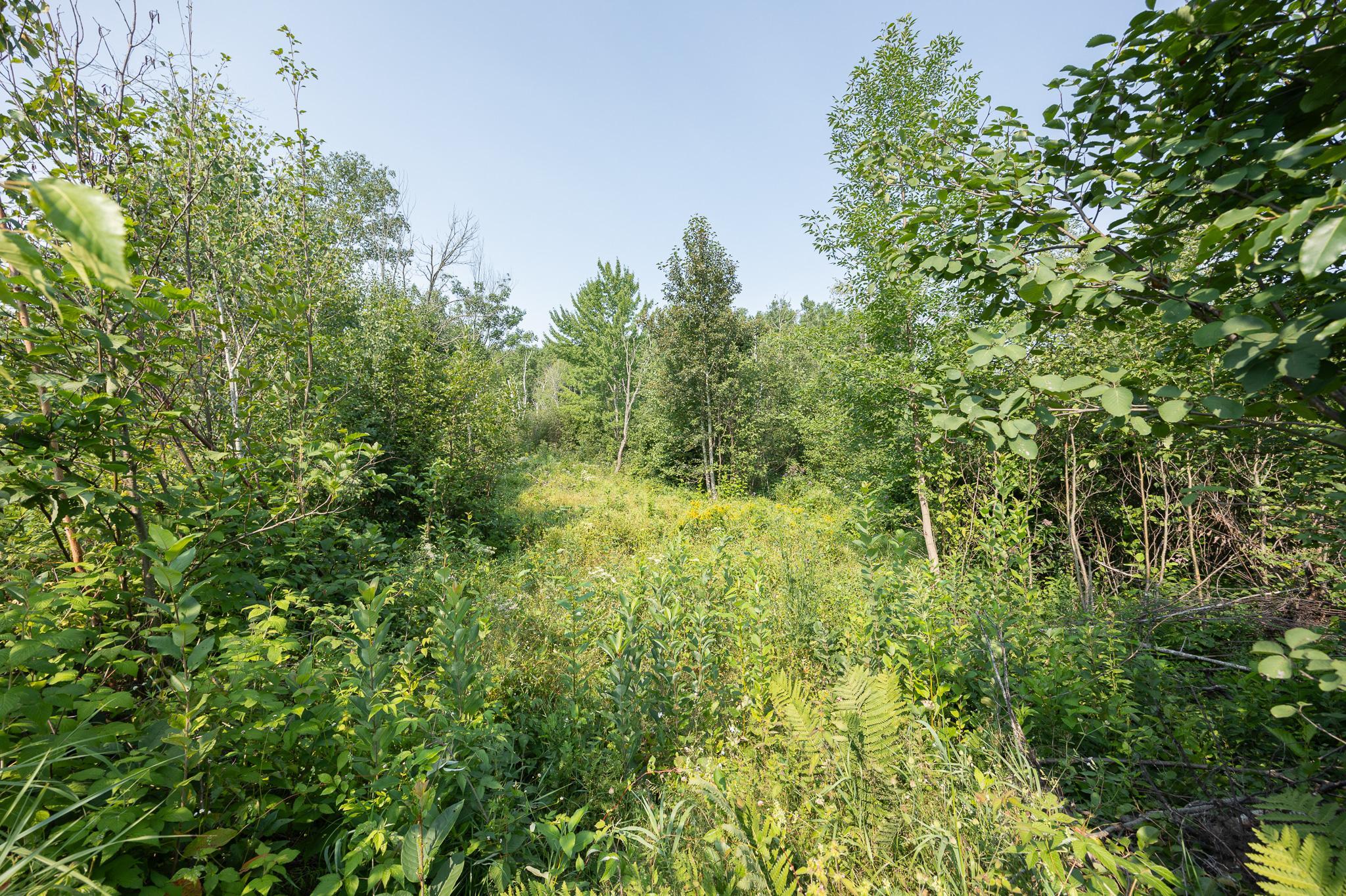 1089 8th Street NE, Pine River MN 56474 - Photo 71 of 90