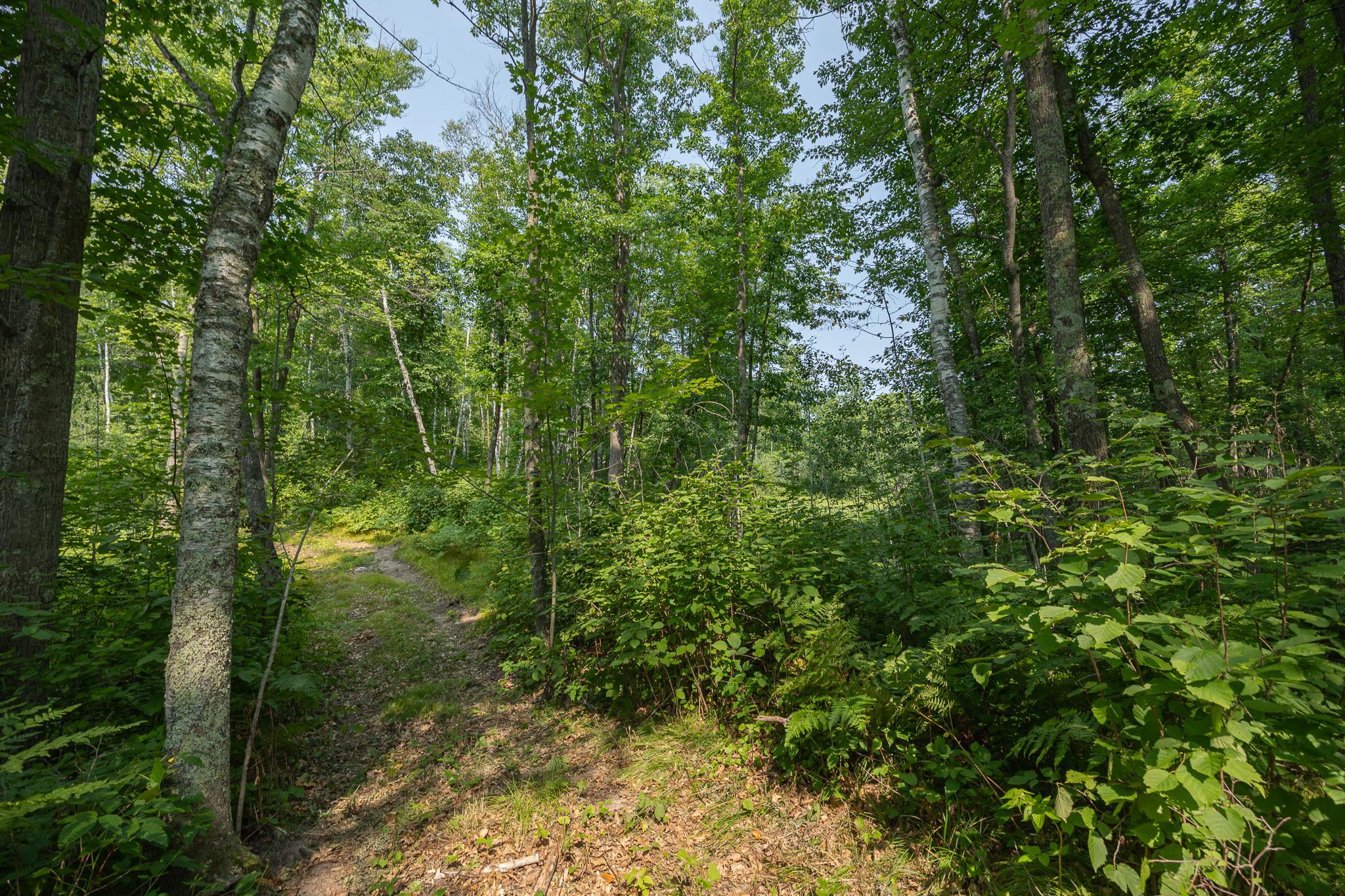 1089 8th Street NE, Pine River MN 56474 - Photo 76 of 90