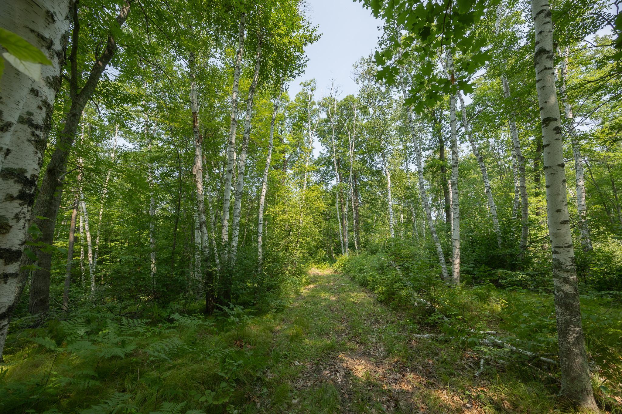 1089 8th Street NE, Pine River MN 56474 - Photo 79 of 90