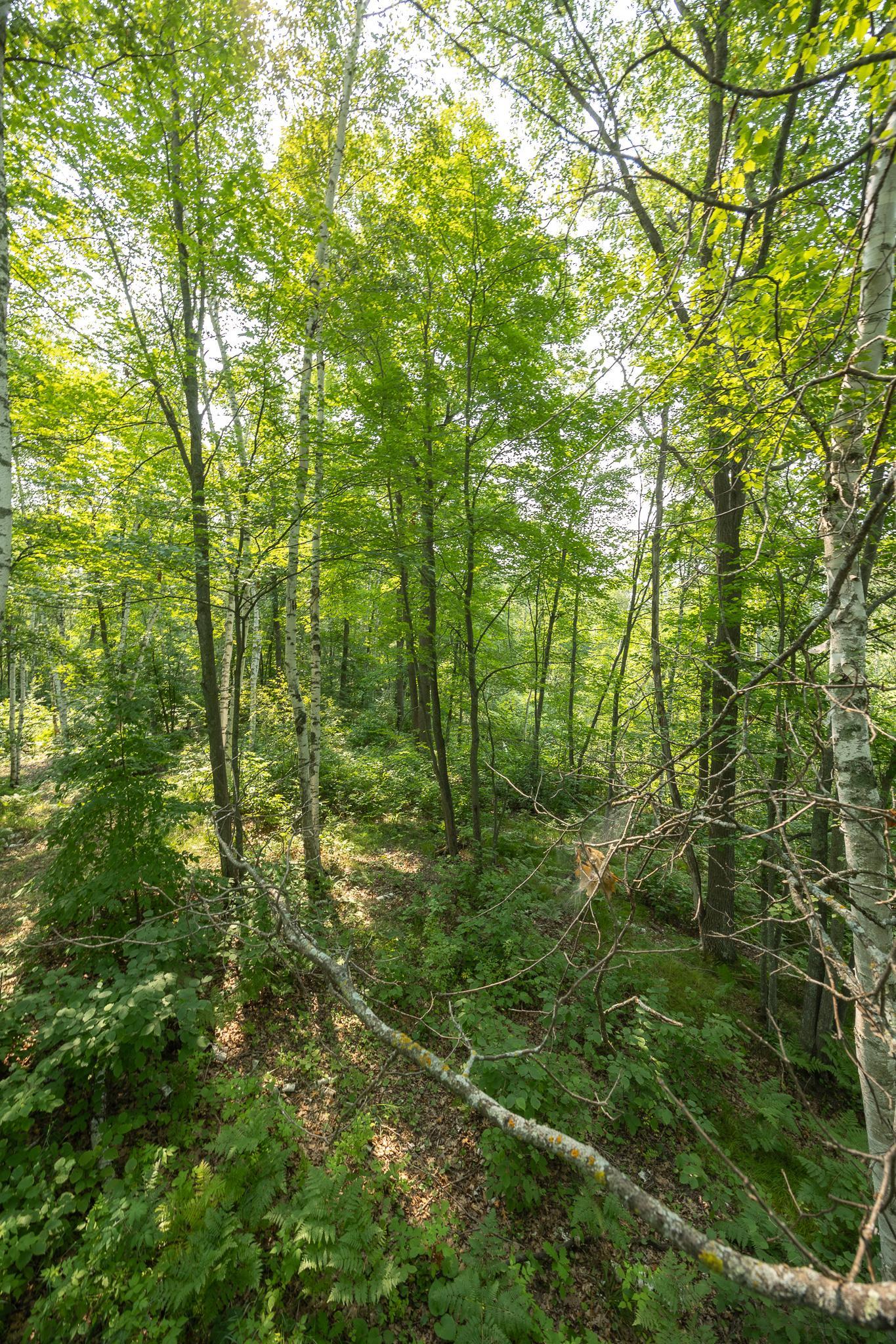 1089 8th Street NE, Pine River MN 56474 - Photo 81 of 90