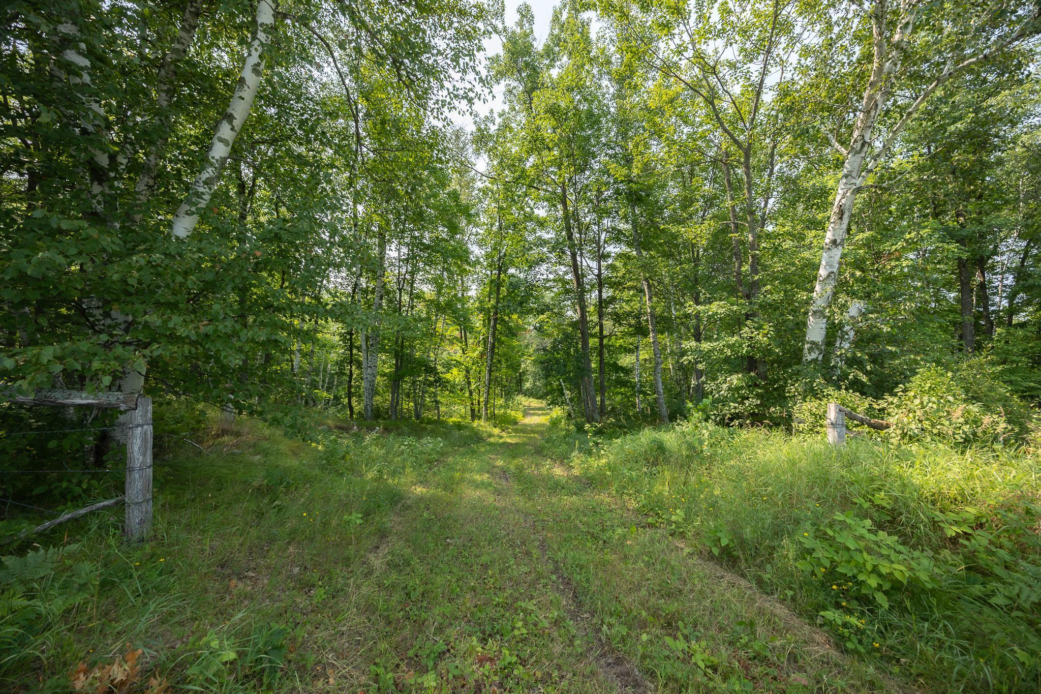 1089 8th Street NE, Pine River MN 56474 - Photo 83 of 90