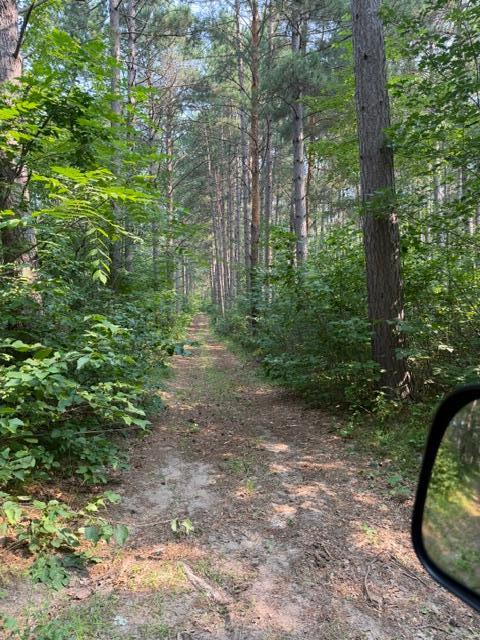 land for sale at TBD County Road 116 in Merrifield, MN (photo 11 of 17)