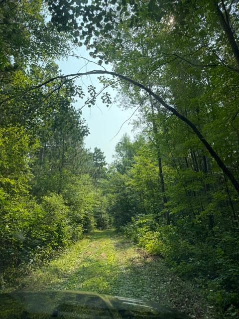 land for sale at TBD County Road 116 in Merrifield, MN (photo 12 of 17)