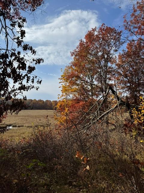 land for sale at TBD County Road 116 in Merrifield, MN (photo 16 of 17)