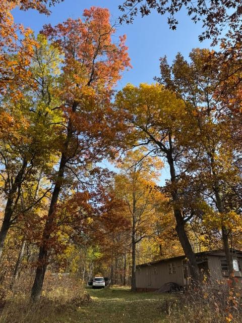 land for sale at TBD County Road 116 in Merrifield, MN (photo 17 of 17)
