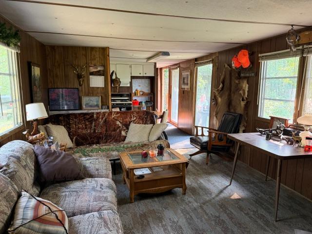 land for sale at TBD County Road 116 in Merrifield, MN (photo 3 of 17)