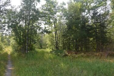 land for sale at 15690 330th Street in McGregor, MN