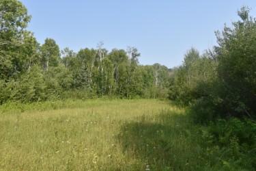 land for sale at 15690 330th Street in McGregor, MN (photo 11 of 21)