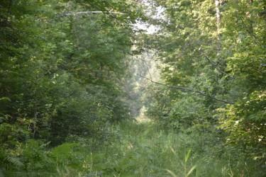 land for sale at 15690 330th Street in McGregor, MN (photo 12 of 21)