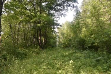 land for sale at 15690 330th Street in McGregor, MN (photo 13 of 21)