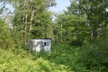land for sale at 15690 330th Street in McGregor, MN (photo 15 of 21)