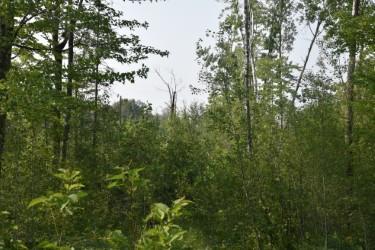 land for sale at 15690 330th Street in McGregor, MN (photo 17 of 21)