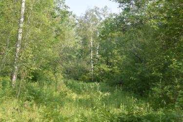 land for sale at 15690 330th Street in McGregor, MN (photo 19 of 21)