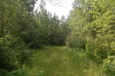land for sale at 15690 330th Street in McGregor, MN (photo 5 of 21)