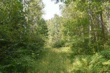 land for sale at 15690 330th Street in McGregor, MN (photo 6 of 21)