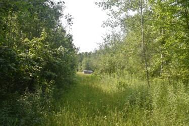 land for sale at 15690 330th Street in McGregor, MN (photo 7 of 21)
