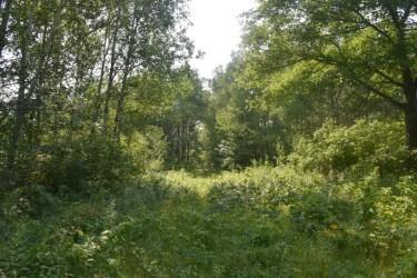 land for sale at 15690 330th Street in McGregor, MN (photo 9 of 21)