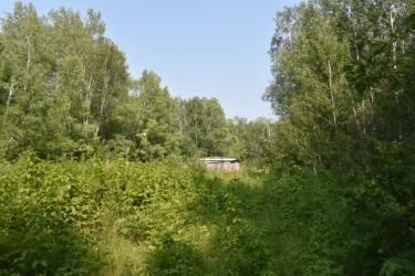 land for sale at 15690 330th Street in McGregor, MN (photo 10 of 21)