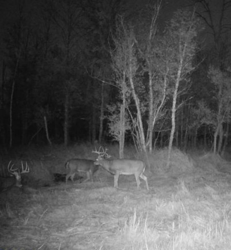 land for sale at TBD 580th Street in Deer Creek, MN (photo 15 of 31)