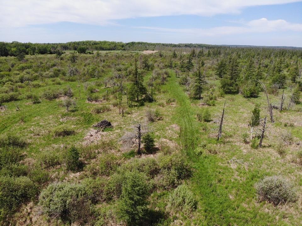 land for sale at TBD 580th Street in Deer Creek, MN (photo 21 of 31)