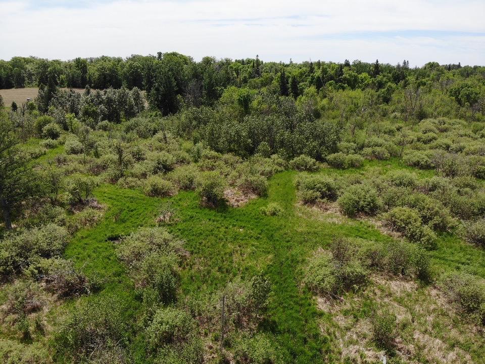 land for sale at TBD 580th Street in Deer Creek, MN (photo 22 of 31)