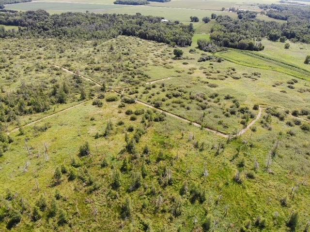 land for sale at TBD 580th Street in Deer Creek, MN (photo 23 of 31)