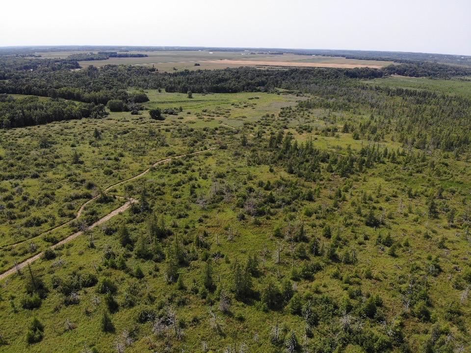 land for sale at TBD 580th Street in Deer Creek, MN (photo 24 of 31)